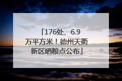 176处、6.9万平方米！德州天衢新区晒粮点公布